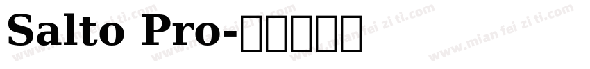 Salto Pro字体转换